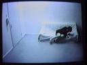 Les Entrainements-Planche I